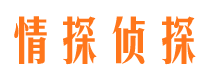 泰安侦探公司